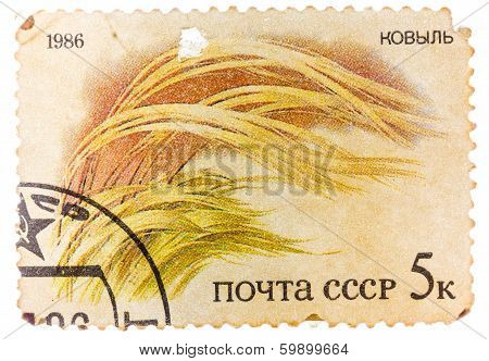 Post Stamp Printed In Ussr (cccp, Soviet Union) Shows Image Of Grass