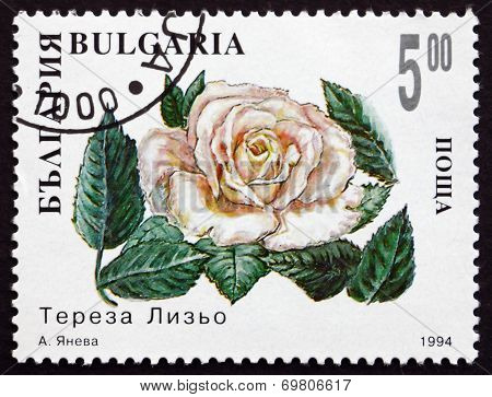 Postage Stamp Bulgaria 1994 White Rose