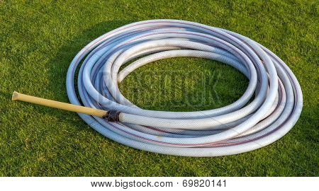 White Rubber Band On Green Grass Field