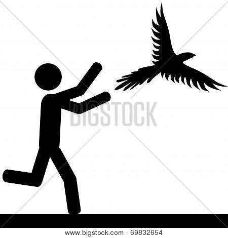 Catch the bird