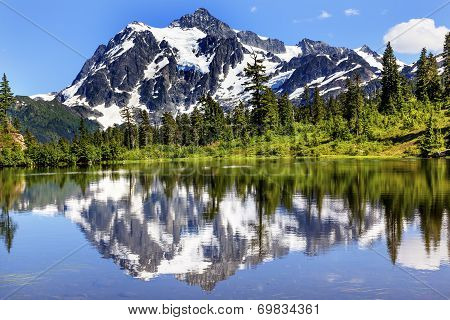 Picture Lake Evergreens Mount Shuksan Washington Usa