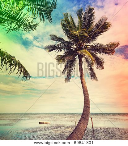 Serenity beach