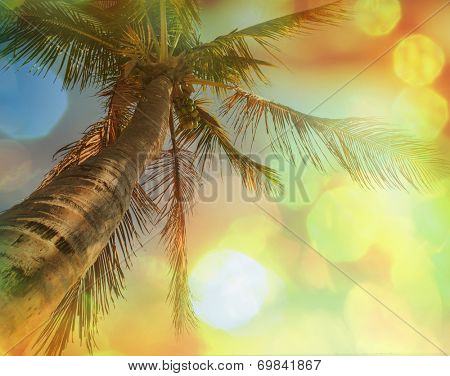 Serenity beach