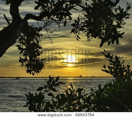 Sunrise in Sanibel Island