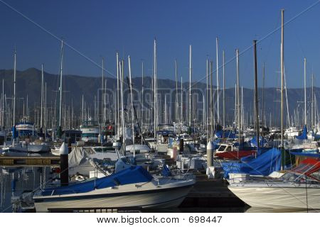 Marina