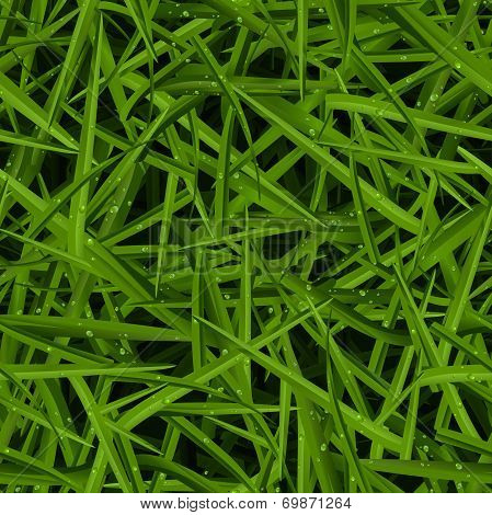 Green Lawn Texture With Water Drops In A Pattern