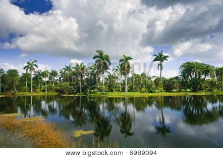 Tropiske botaniske have