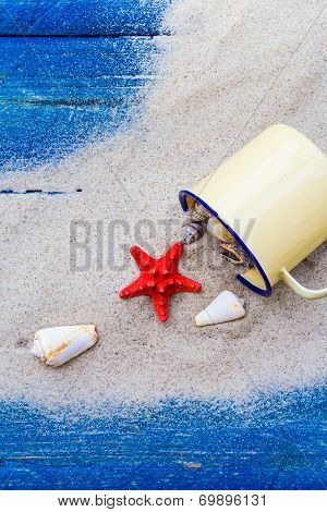 Colorful Shells Cup Sand Strewn Blue Boards