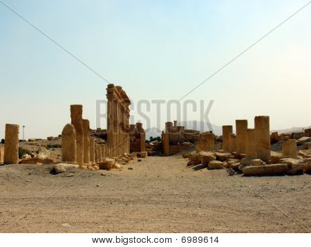 Palmyra
