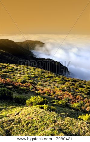 パルケ自然デ マデイラ マデイラ島ポルトガルの谷 Lomba ・ デ ・ リスコ高原