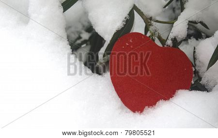 Solitary Heart