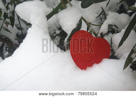 Snow And Red Heart