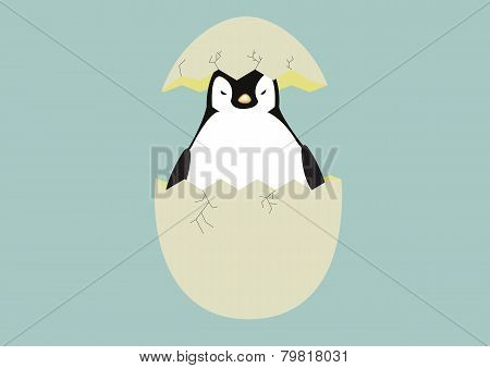 BabyPenguin