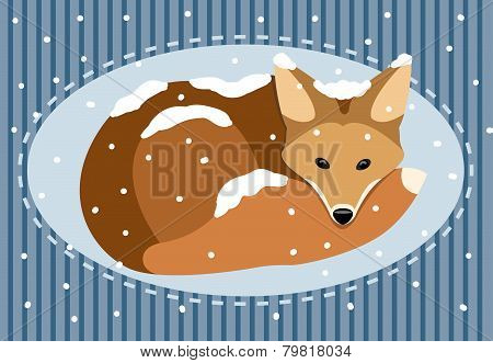 FoxSnow