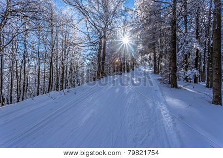 Track For Cross-country Skiing