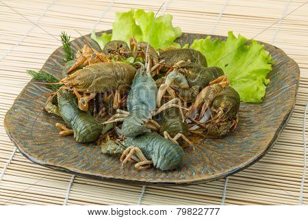 Raw Crayfish