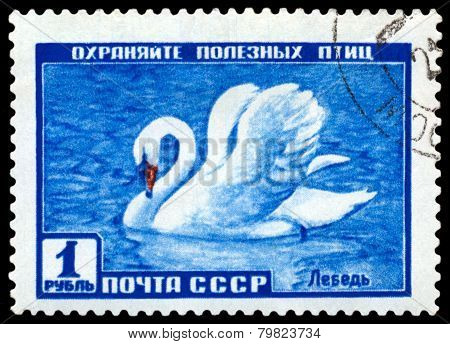 Vintage  Postage Stamp. Swan.