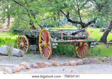 Ox-drawn Wagon