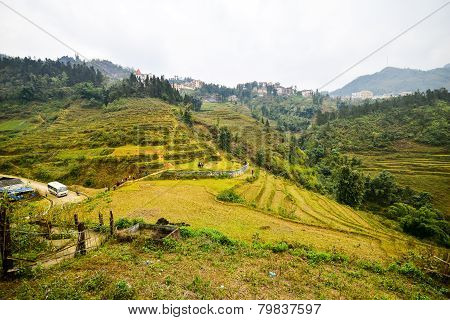 Landscape