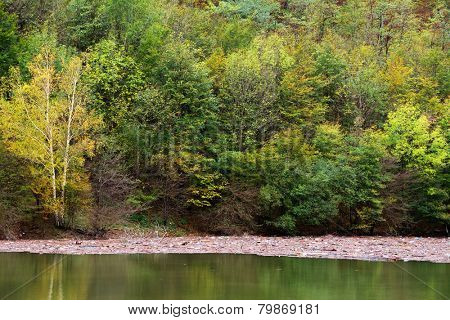 Mountain lake pollution 