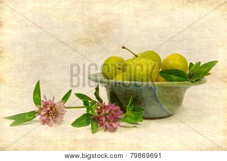 mirabelles