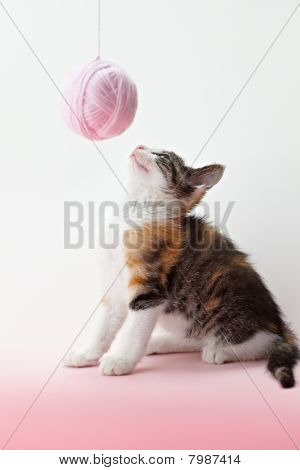 Katze-Spiel mit Garn
