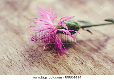 Burdock flowers and wood background
