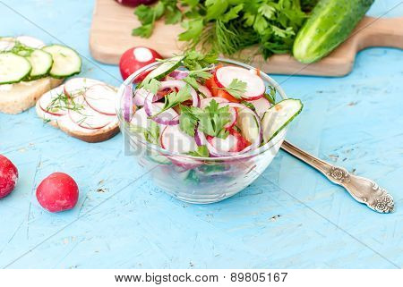 Spring Salad With Radishes, Cucumber, Cabbage And Onion Close-up