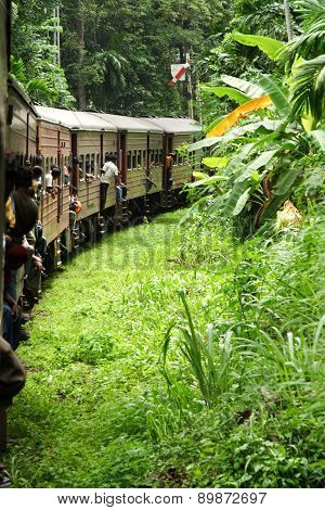 Riding By Train The Scenic Mountain Track From Nuwarelia To Colombo
