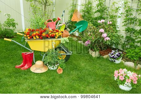 Wheelbarrow with Gardening tools in the garden.