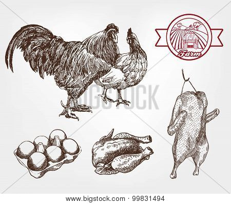 poultry breeding