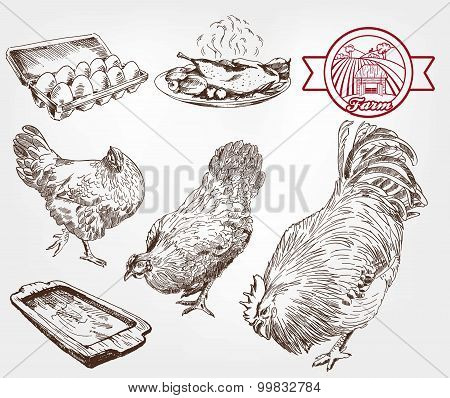 poultry breeding