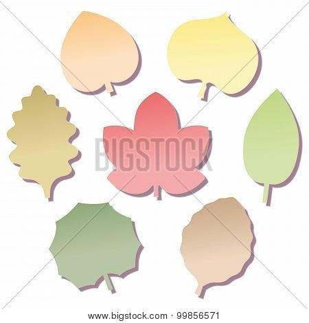 Leaves Notepads Fall