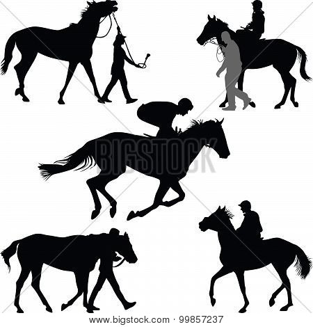 Horse
