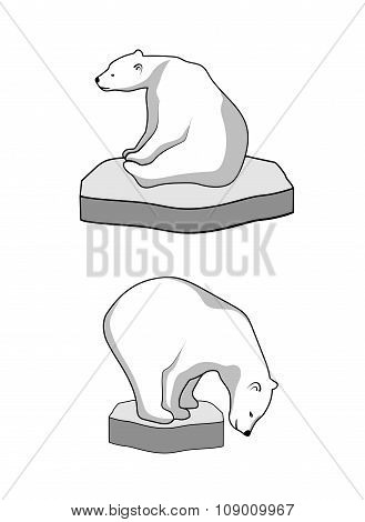polar bear on an ice floe