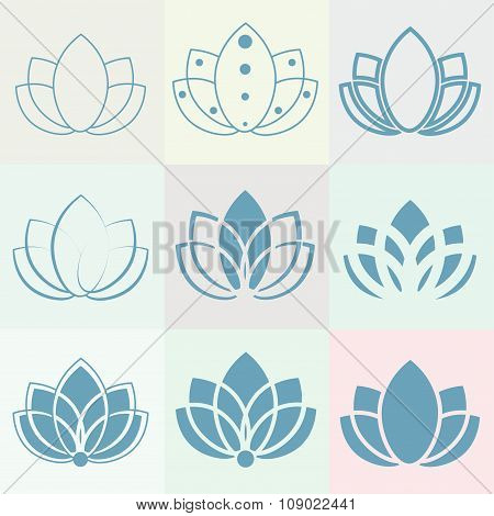 Multicolored Floral Signs: Lotus Petals