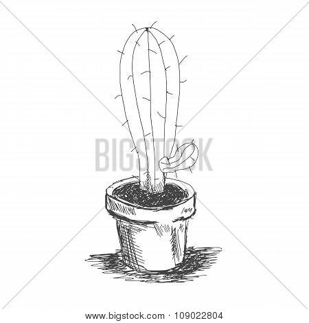 Vector Sketch Illustration Eps 10 Cactus In A Pot