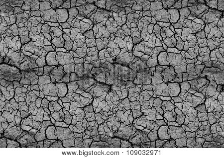 abstract background cracked grey surface, earth quake