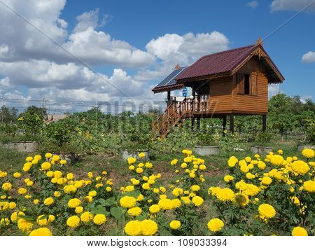 House And Garden