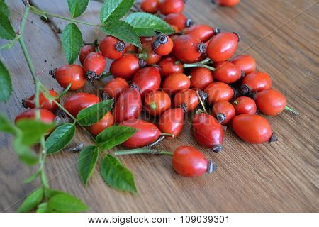 Rose Hips red