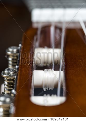 Guitar Strings Close Up