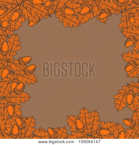 Illustration Of Leaf With Acorn