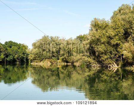 Wild Brenta River