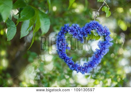 Heart Shape Made Of Flowers (cornflowers) With Natural Boke Through Summer Foliage