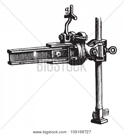 Side view of the stem of the front end of Eckert and its relationship with age, vintage engraved illustration. Industrial encyclopedia E.-O. Lami - 1875. 