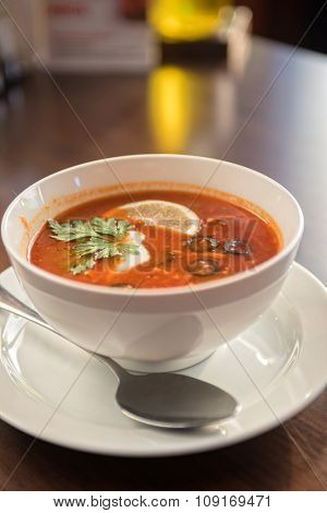 Traditional russian soljanka or saltwort soup