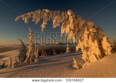 Fantastic orange evening landscape glowing by sunlight. Dramatic wintry scene with snowy trees. Kukul ridge, Carpathians, Ukraine, Europe. Merry Christmas!
