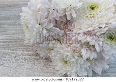 Bouquet of white and pink chrysanthemums close up