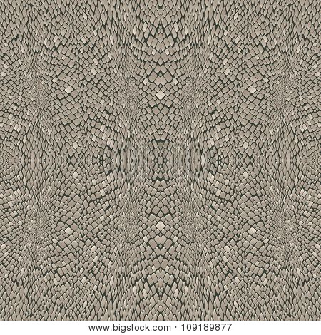 snakeskin