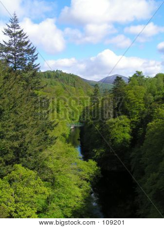 Maisema